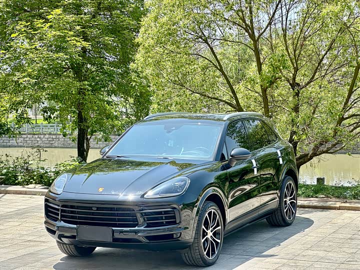 Cayenne 2023 Cayenne 3.0T Platinum Edition