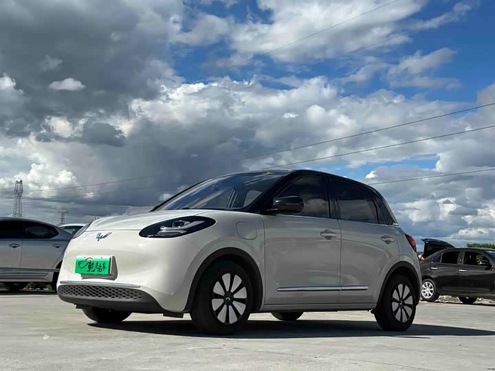 Wuling Bingo 2023 333km Yuexiang Edition