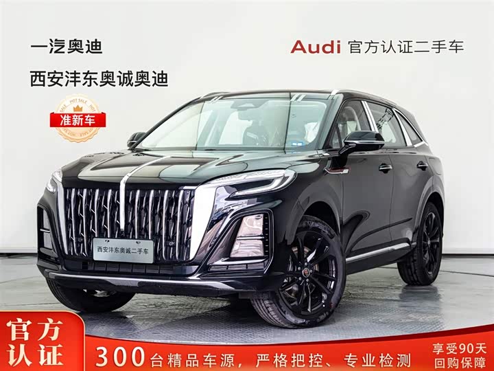 Hongqi HS5 2025 2.0T two-wheel drive Qiyue Pro version