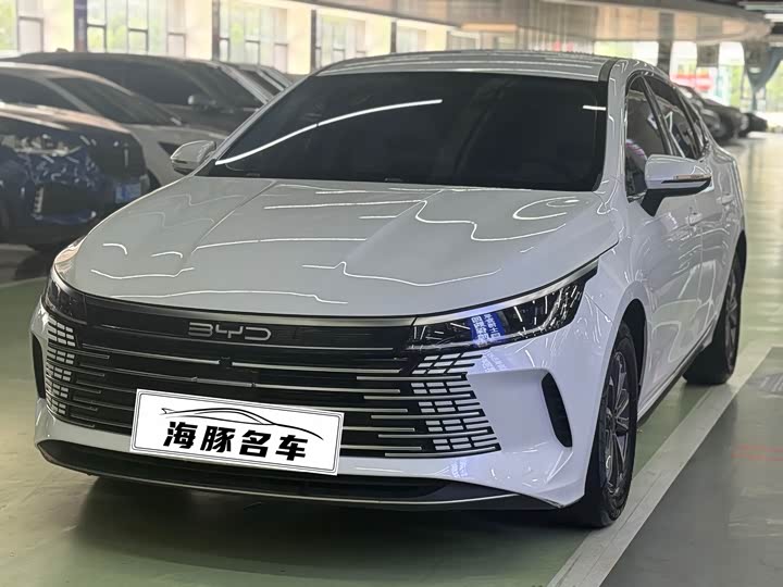Destroyer 05 2024 Honor Edition DM-i 55KM Luxury Type