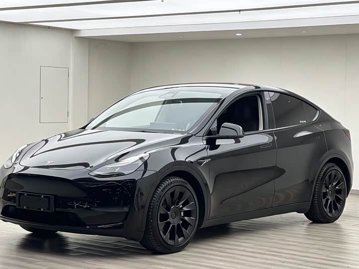 Model Y 2021 standard range rear-wheel drive version