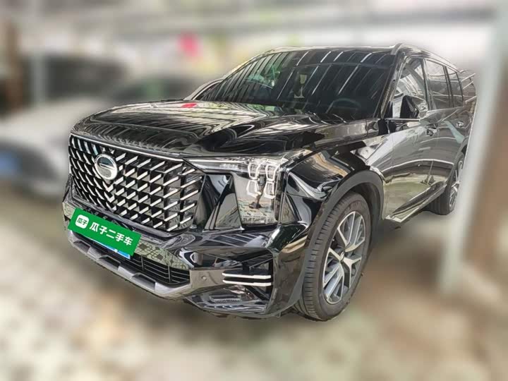 Trumpchi GS8 2025 Pilot Series 2.0TGDI two-wheel drive luxury version 5 seats