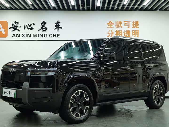 Titanium 7 2025 200KM two-wheel drive Max version