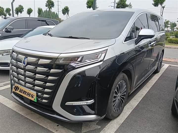 Denza D9 2024 DM-i 980 four-wheel drive premium model
