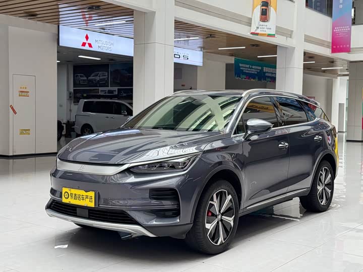 Tang New Energy 2024 EV Champion Edition 600KM Exclusive Type