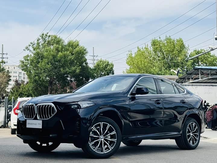 BMW X6 2023 xDrive30i M Sports Package