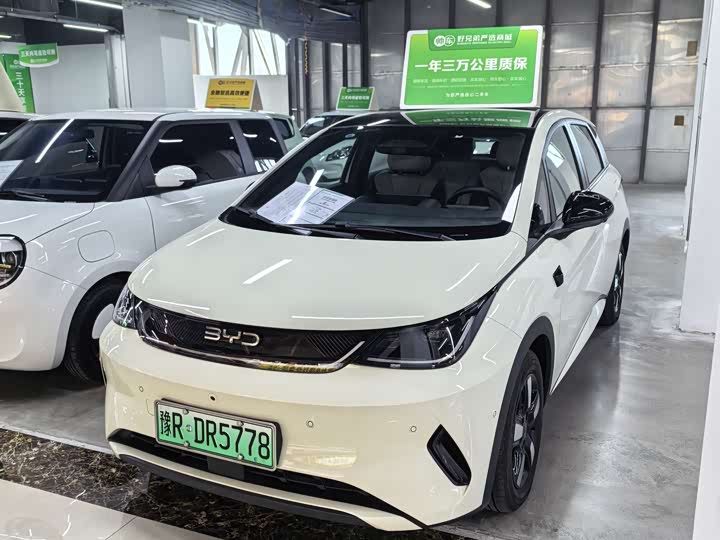 Dolphin 2025 smart driving version 410km fashion version