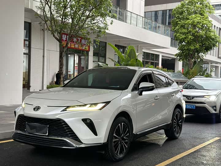 Vesa 2022 2.0L CVT two-wheel drive premium version