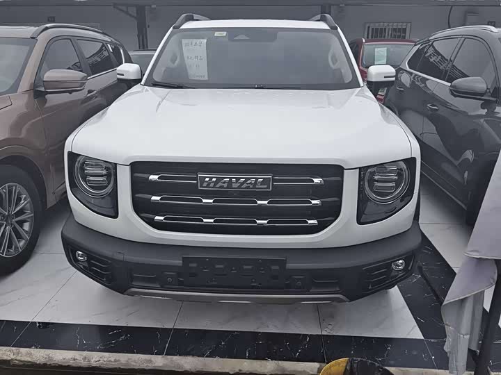 Haval Big Dog 2021 2.0T DCT four-wheel drive Chinese pastoral dog version