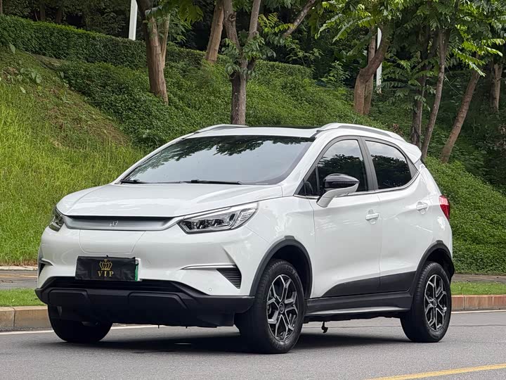 Yuan Pro 2021 401KM Premium Edition