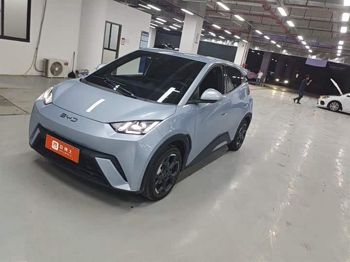 Seagull 2025 305km Free Edition
