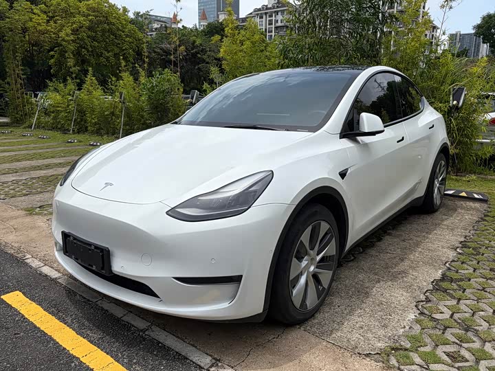 Model Y 2021 standard range rear-wheel drive version