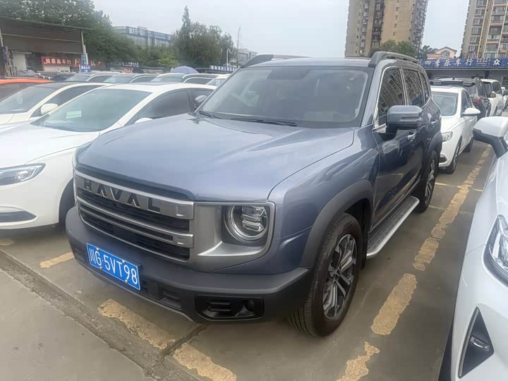 Haval Big Dog 2024 1.5T DCT Border Collie Edition