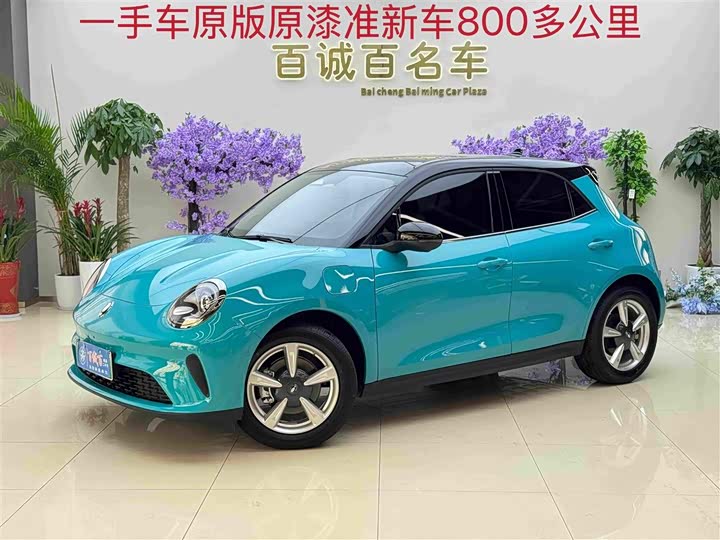 Euler Good Cat 2025 430km Honor Type