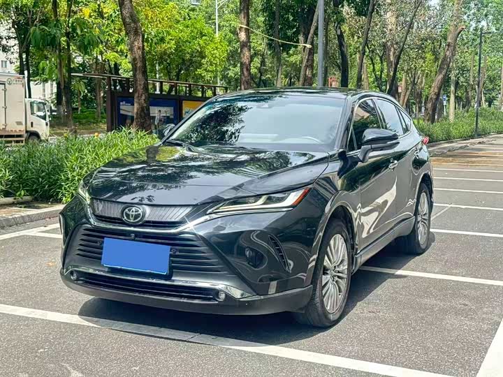 Lingfang HARRIER 2022 2.0L CVT two-wheel drive aggressive version