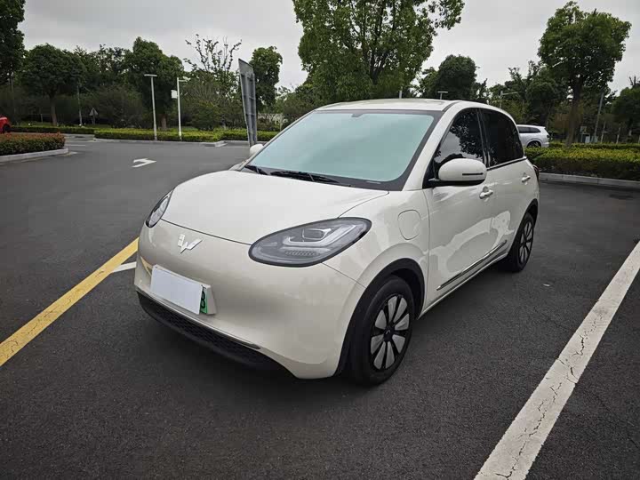 Wuling Bingo 2024 model 333km Yuexiang model