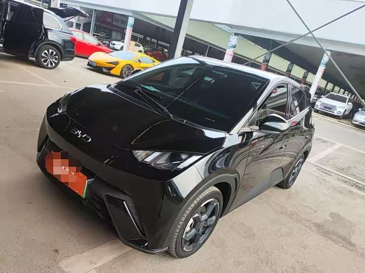 Seagull 2024 Honor Edition 405km Flying Edition