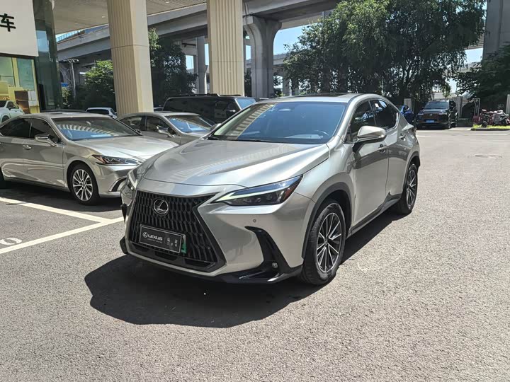 Lexus NX New Energy 2022 400h Changyue Edition