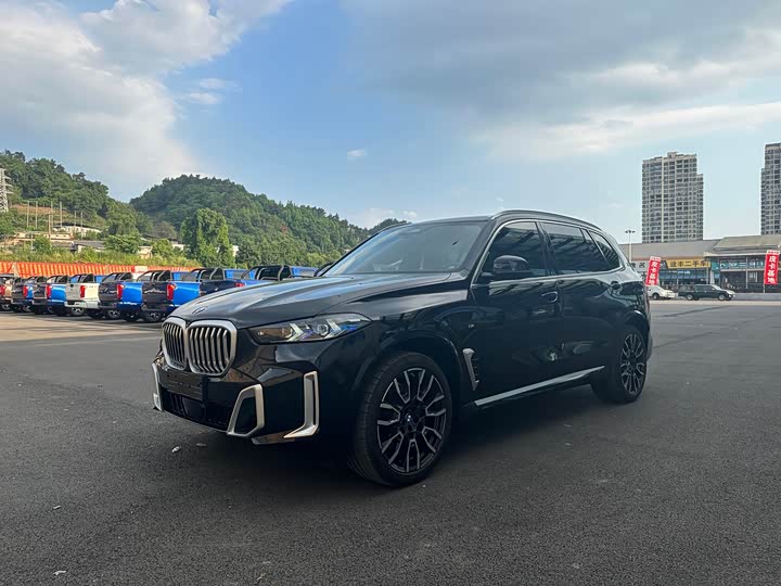 BMW X5 2023 xDrive 40Li M Sports Package