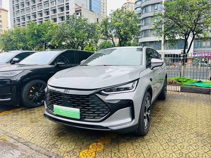 Tangxin Energy 2025 smart driving version DM-i 115KM flagship model