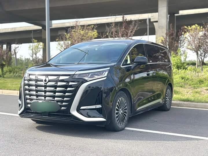 Denza D9 2024 DM-i 980 four-wheel drive premium model