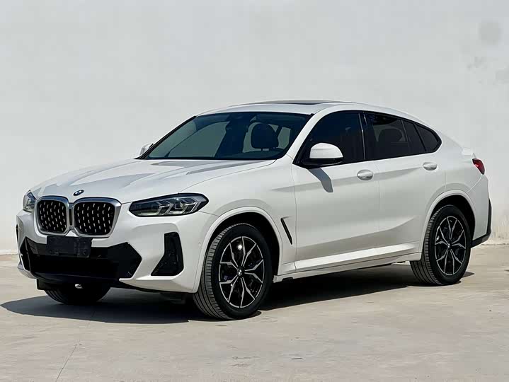 BMW X4 2022 xDrive25i M Sport Package