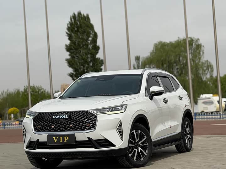 Haval H6 2021 third generation 1.5T automatic two-wheel drive Max