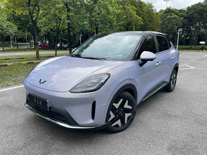 Bingo S 2025 Model 430km Flagship Edition