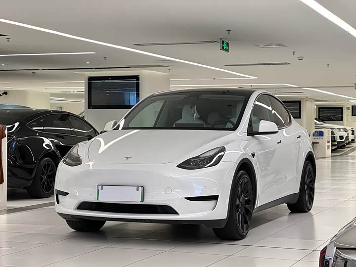 Model Y 2023 rear-wheel drive version