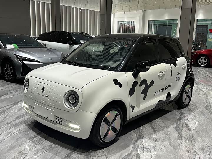 Euler Black Cat 2021 301km basic model