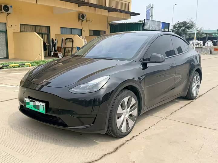 Model Y 2021 standard range rear-wheel drive version
