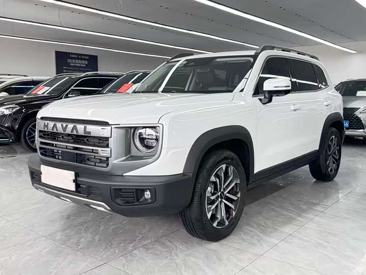 Haval Big Dog 2024 1.5T DCT Border Collie Edition