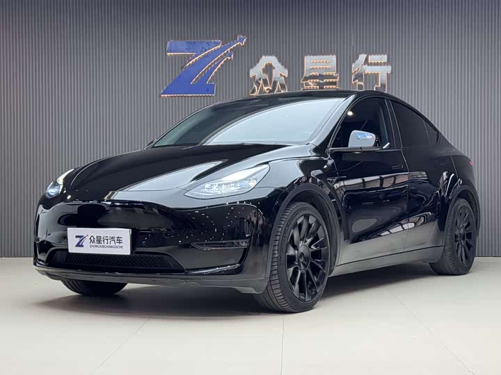 Model Y 2021 standard range rear-wheel drive version
