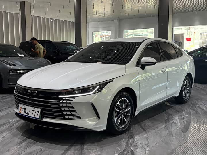 Destroyer 05 2024 Honor Edition DM-i 55KM Luxury Type