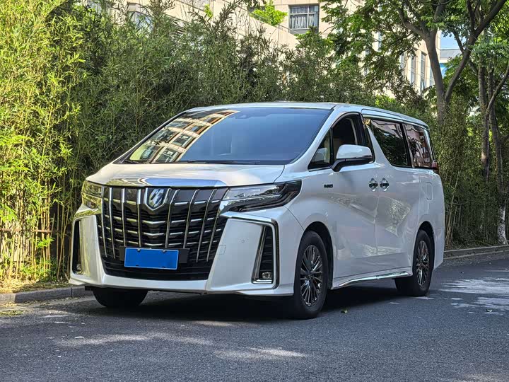 Alfa 2021 Shuangqing 2.5L Premium Edition