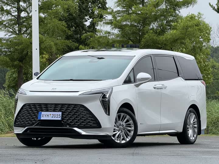 Century 2023 2.0T Six-Seater Yunshi Edition
