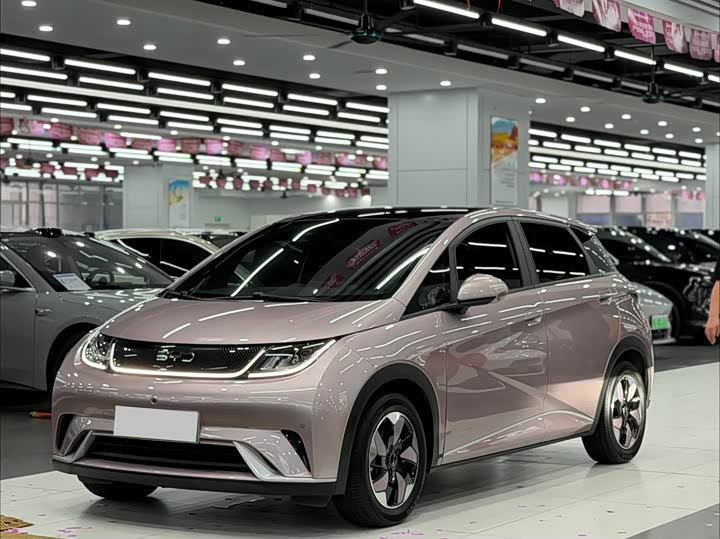 Dolphin 2024 Honor Edition 420km Fashion Edition