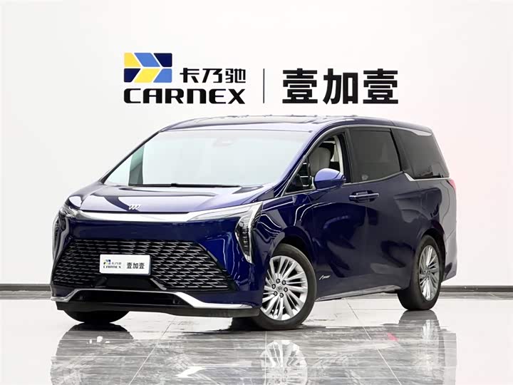 Century 2023 2.0T seven-seat Yuanshi Edition