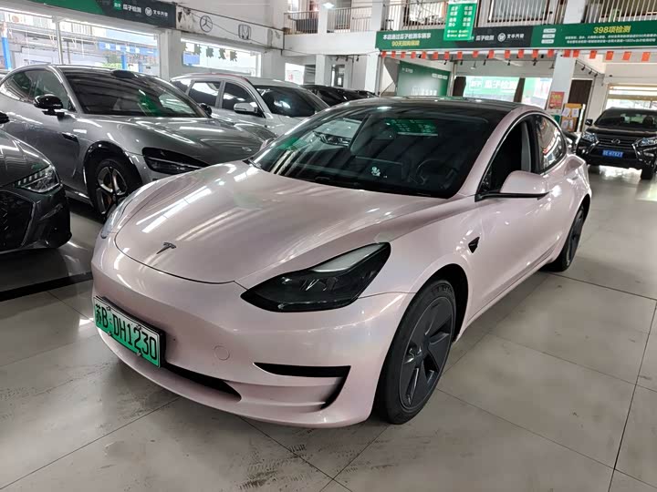 Model 3 2022 rear-wheel drive version