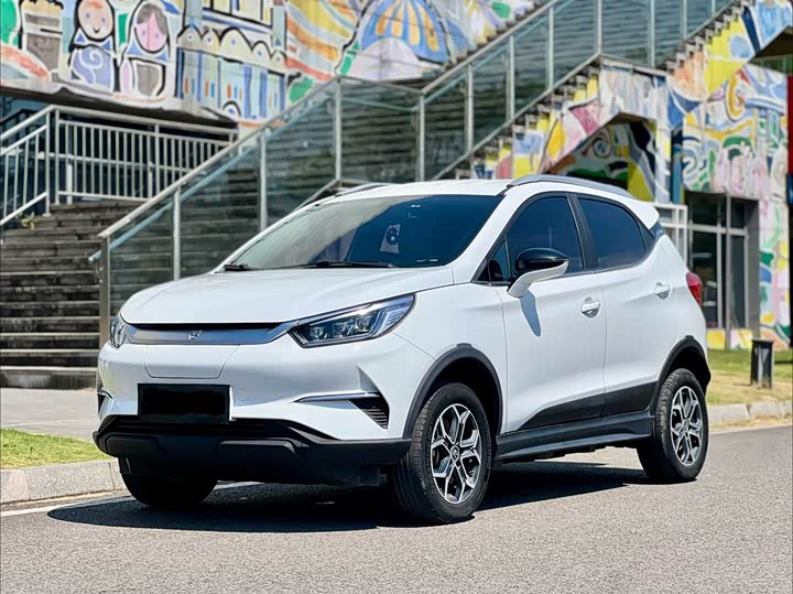 Yuan Pro 2023 model 401KM luxury model