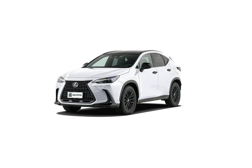 Lexus NX 360°