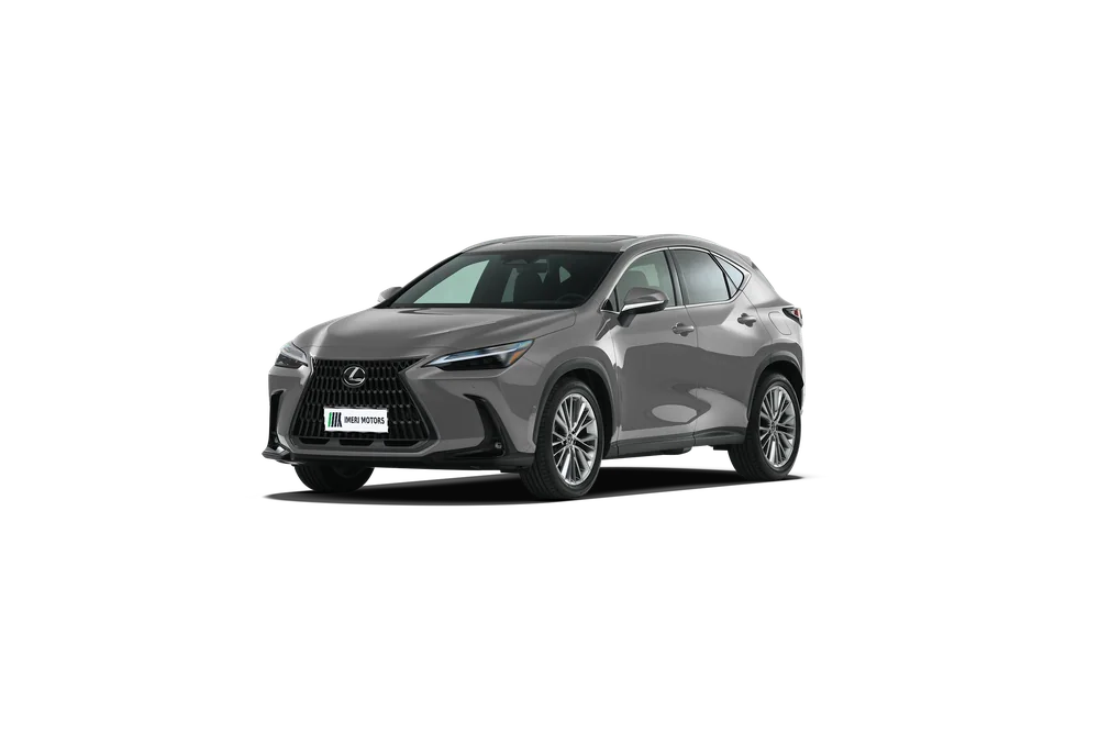 Lexus NX New Energy 360°