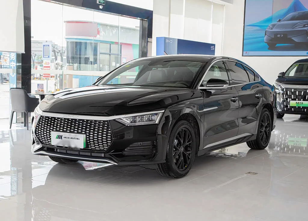 BYD e9