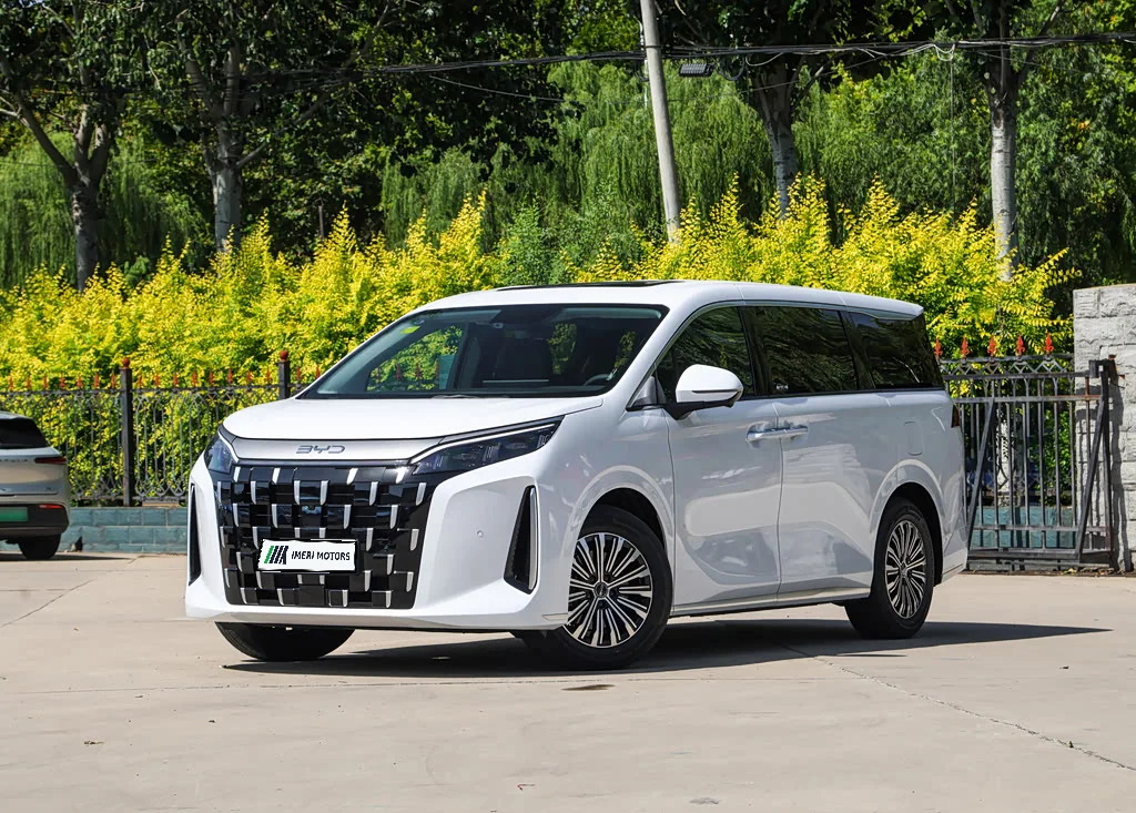 BYD M9