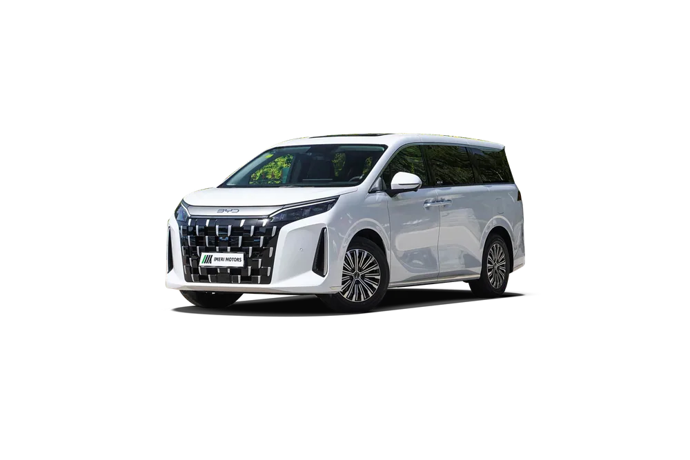 BYD M9 360°